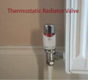 Radiator Thermostat